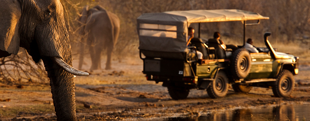 Linyanti wilderness safaris - Botswana Luxury Wildlife Safari Holidays - Bellingham Safaris